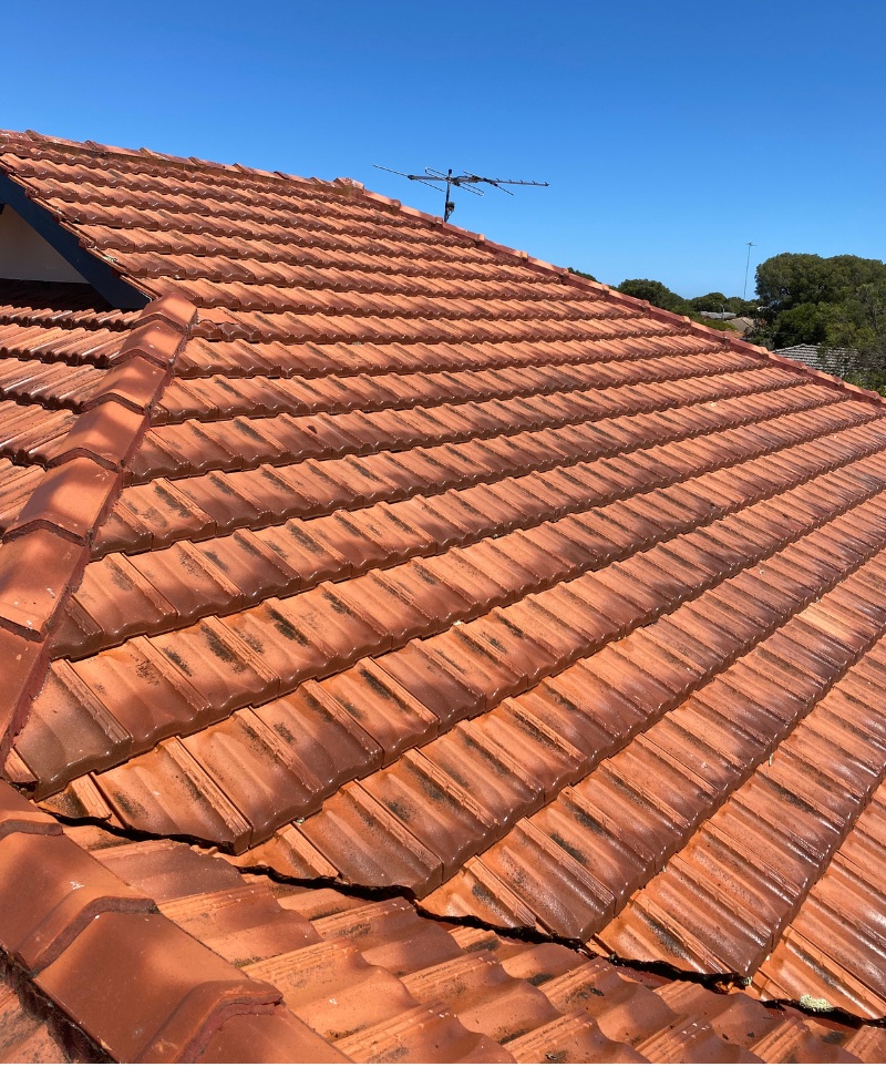 Bunbury roof Cleaning Experts