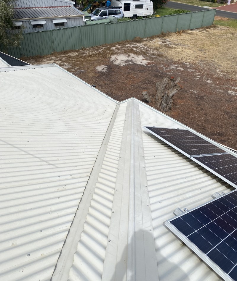 College Grove local roof cleaning service